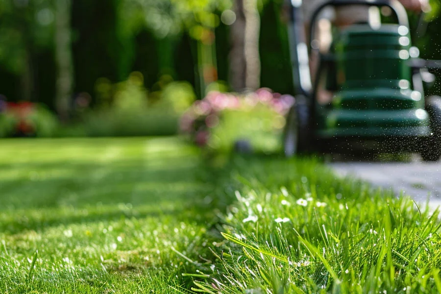 small electric grass mower